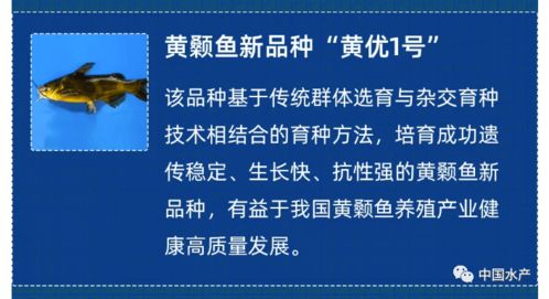 五項(xiàng)涉漁新材料技術(shù)入選2021中國農(nóng)業(yè)農(nóng)村重大新技術(shù)新產(chǎn)品新裝備